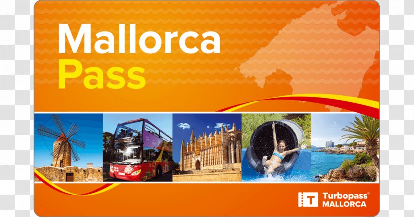 Marineland Mallorca Alcúdia Island Tourist Attraction S'illot - Display Advertising Transparent PNG
