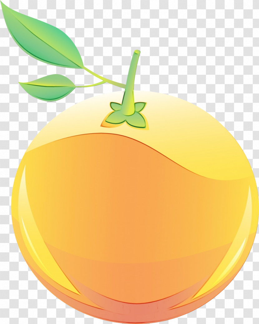 Orange Transparent PNG