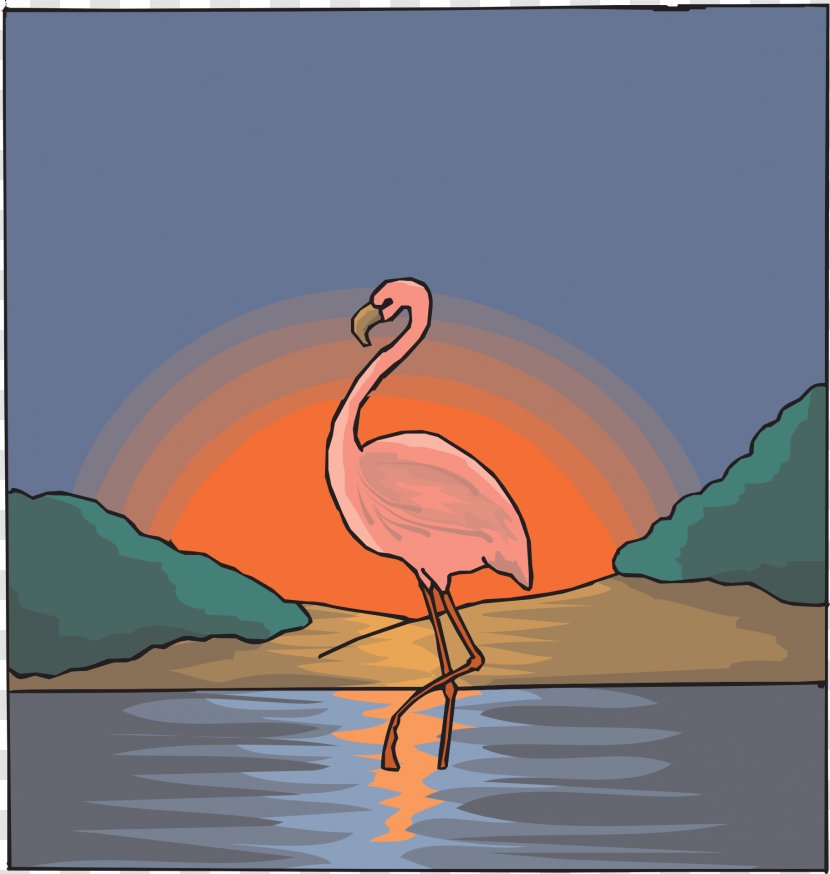 Flamingo Bird Drawing Zazzle Transparent PNG