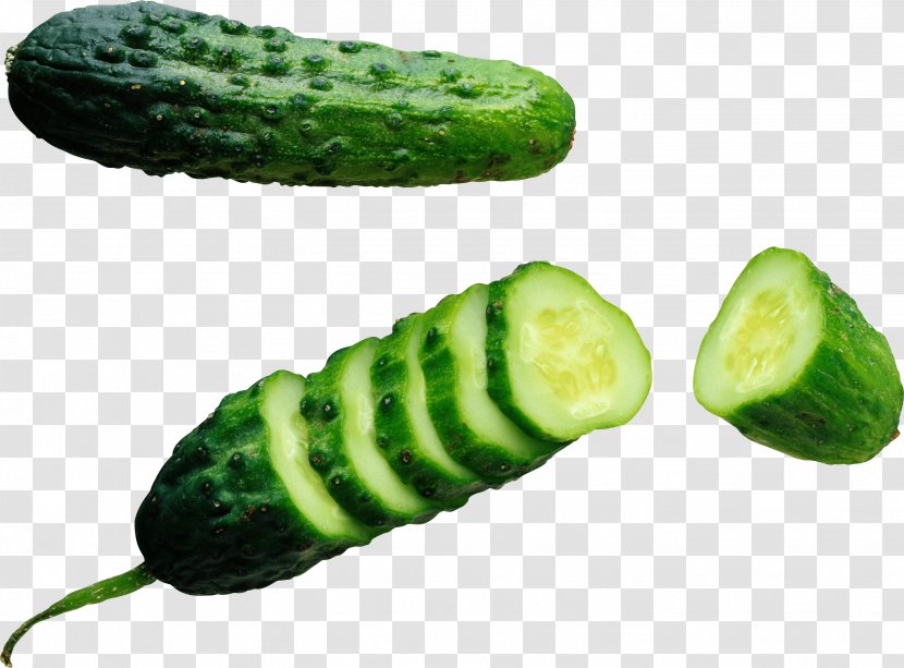 Cucumber Clip Art - Gourd Order - Green Image Transparent PNG