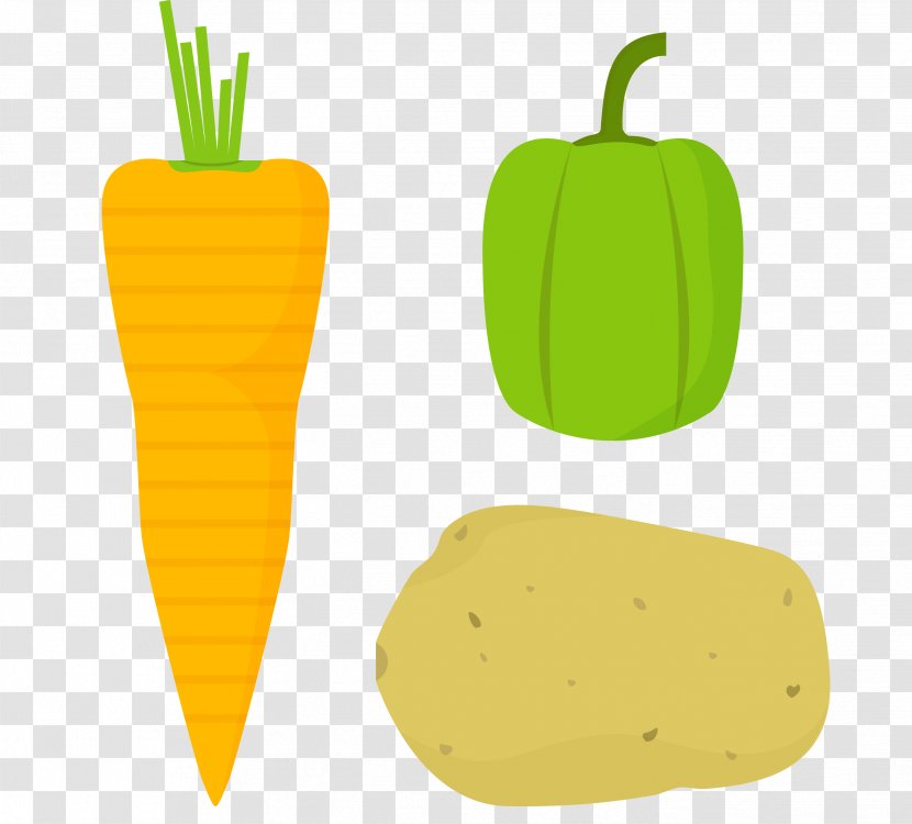Carrot Chili Con Carne Winter Squash Vegetable - Food - Cartoon Vegetables Transparent PNG