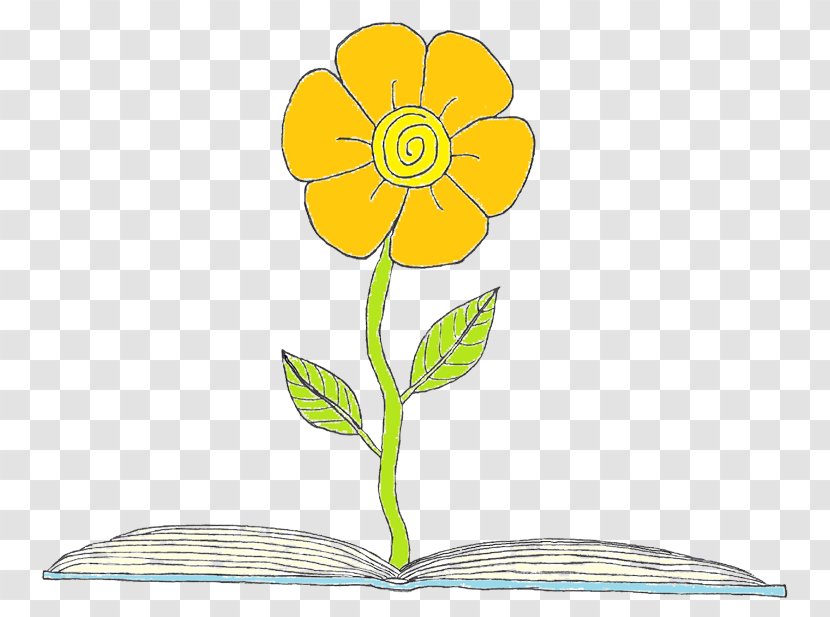 Clip Art Floral Design Sunflower M Cut Flowers Plant Stem - Kindergarten Writing Book Orange Transparent PNG