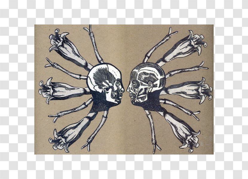Visual Arts Drawing Skull Skeleton - Organism Transparent PNG