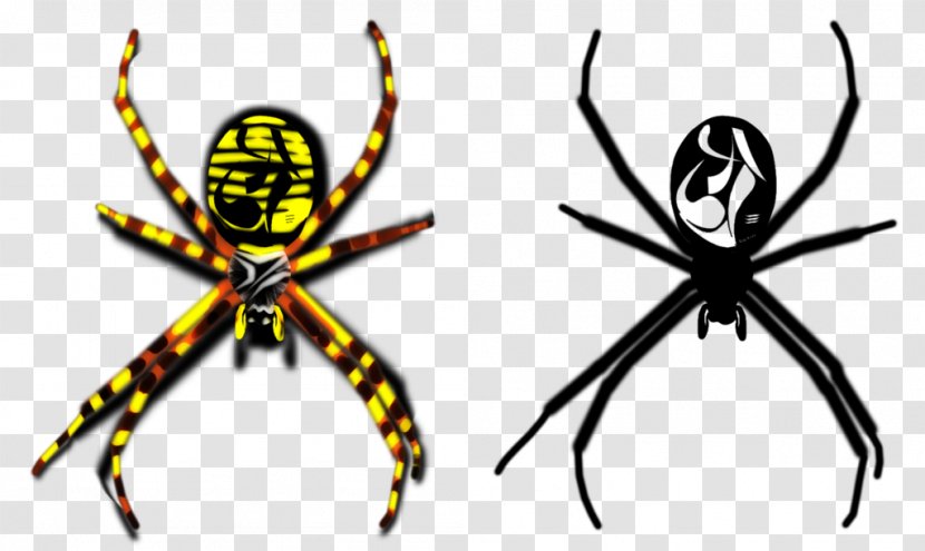 Widow Spiders Orb-weaver Insect Clip Art - Orbweaver - Spider Transparent PNG