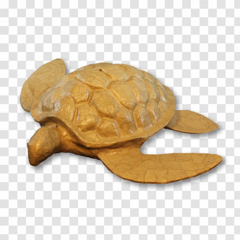 Urn Turtle Funeral Material Cremation - Paper Transparent PNG