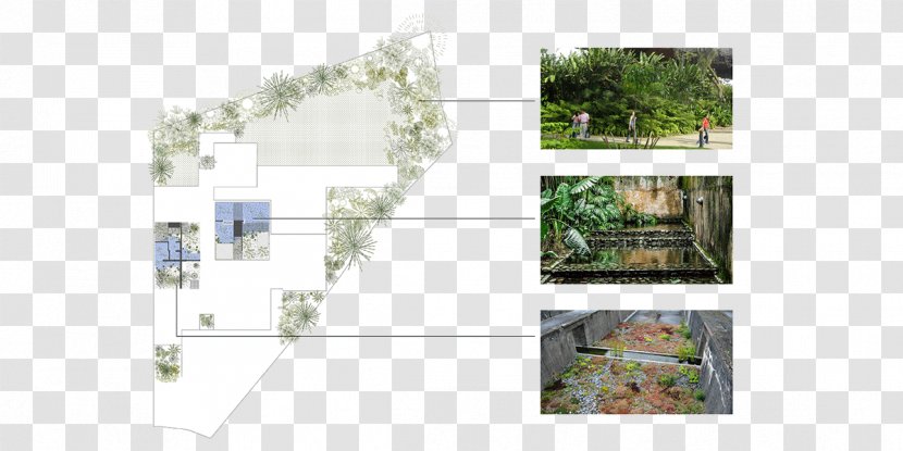 Architecture Garden Laptop House - Flora - Cience Transparent PNG