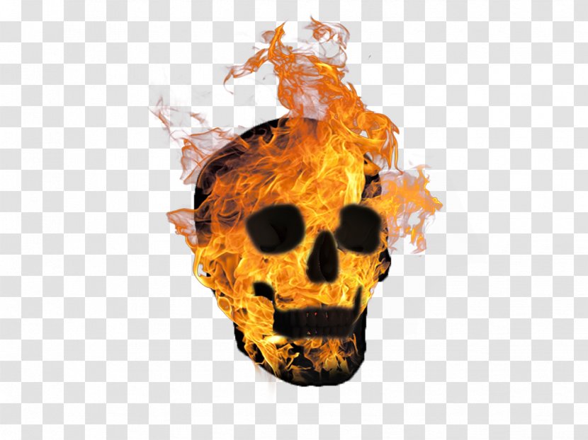 Skull Fire Image Download - Bone Transparent PNG