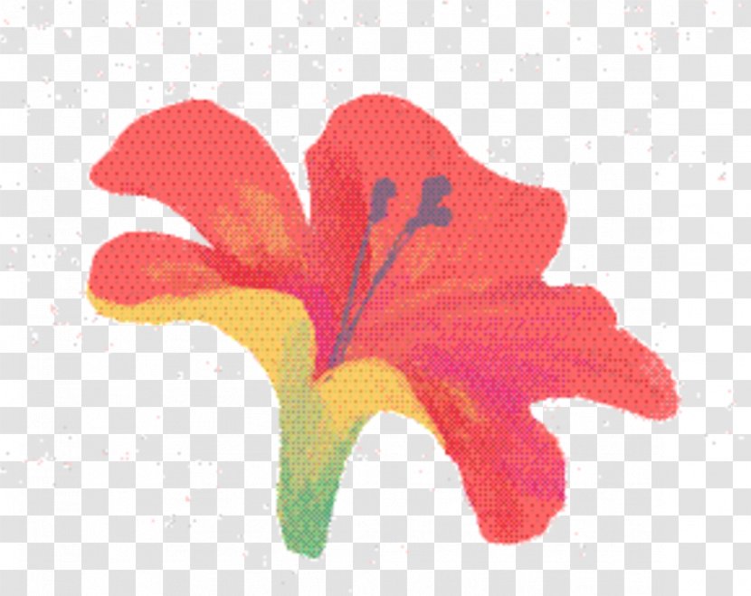 Pink Flower Cartoon - Petal - Daylily Mallow Family Transparent PNG