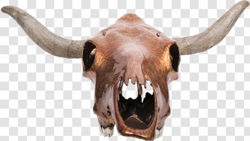 Texas Longhorn Skull Bone Ox - Terrestrial Animal - Exotic Transparent PNG