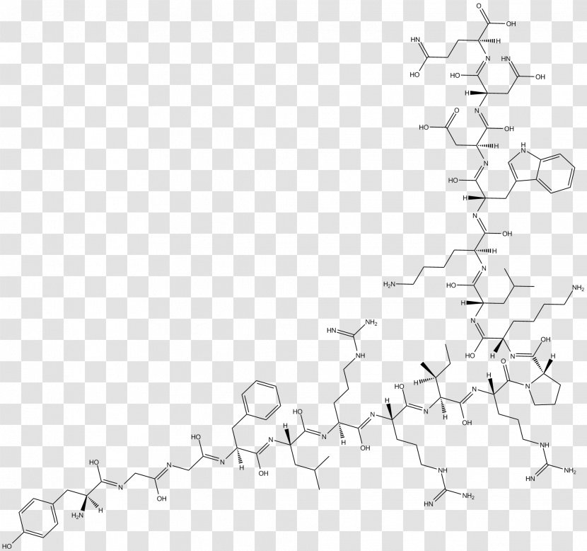 Line Art Point White Angle - Black - Hormone Secretion Transparent PNG