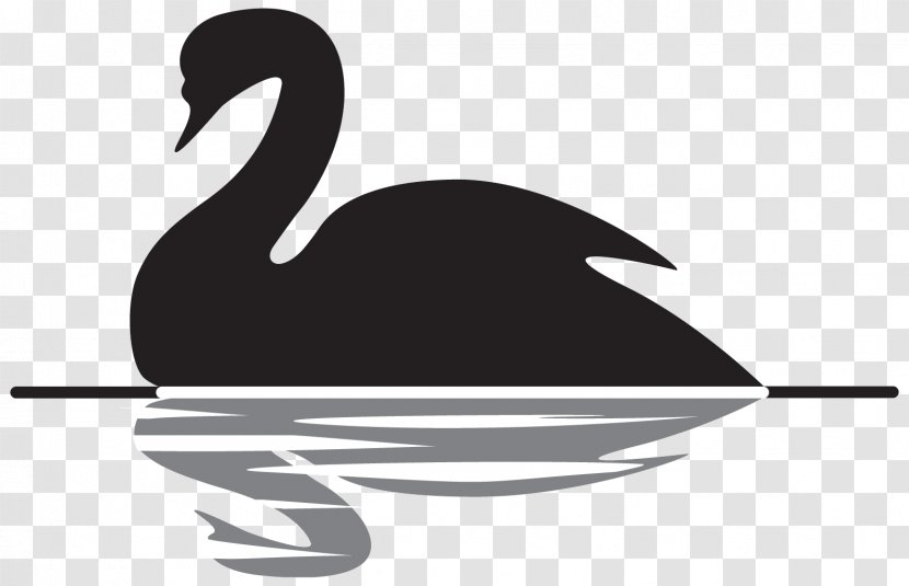 The Black Swan: Impact Of Highly Improbable Advaita Vedanta Yoga Psychology Indian Philosophy - Wing Transparent PNG