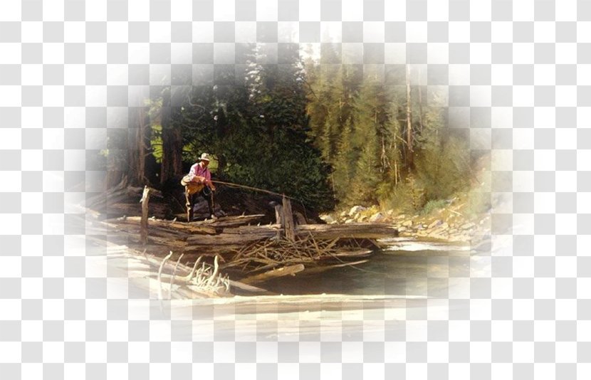 Fly Rod Building Artist Fishing - Tree - Lac Transparent PNG