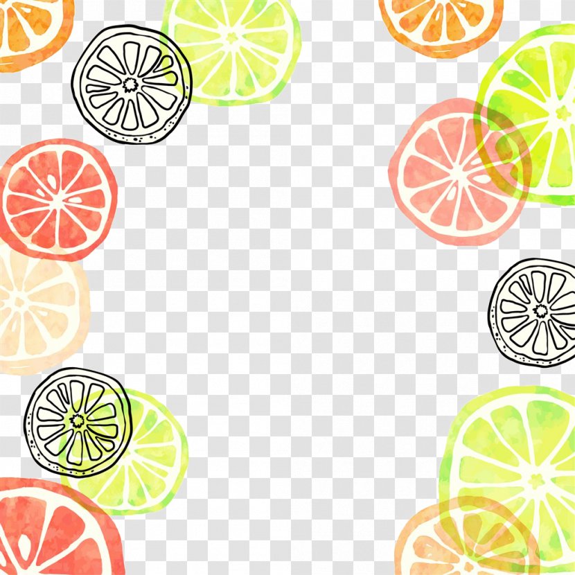 Summer Clip Art - Fruit - Color Orange Slice Transparent PNG