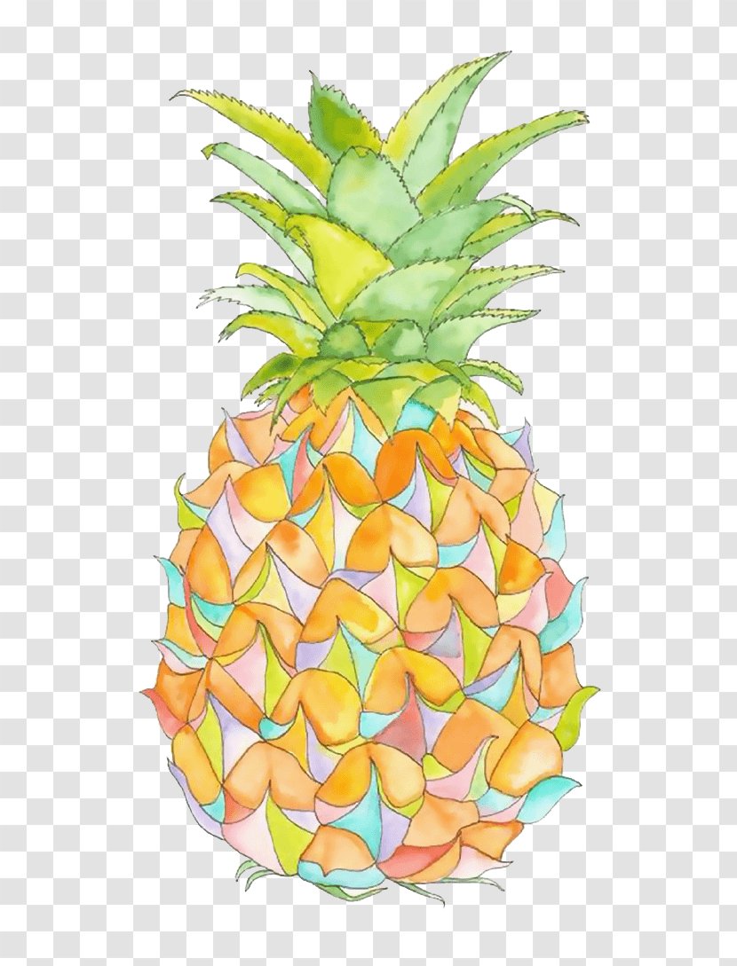 Pineapple Image Fruit Illustration - Bromeliaceae - Ambra Watercolor Transparent PNG