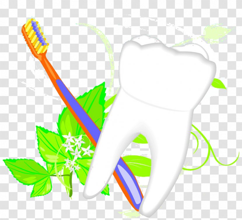 Toothbrush Illustration - Frame - Green Leaves,toothbrush,tooth Transparent PNG