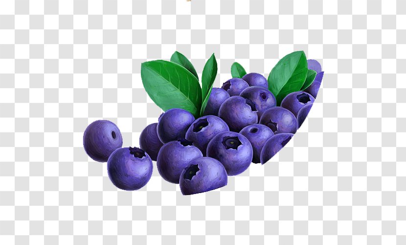 Blueberry Bilberry Fruit Lingonberry Anthocyanidin - Plant - Purple Piles Blueberries Transparent PNG