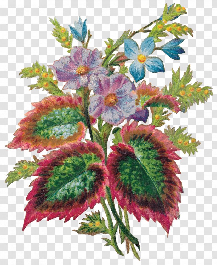 Cut Flowers Floral Design Floristry Flower Bouquet - Illustration Transparent PNG