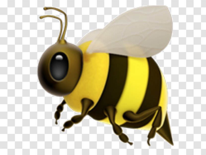 Western Honey Bee Insect Bumblebee Hornet Transparent PNG