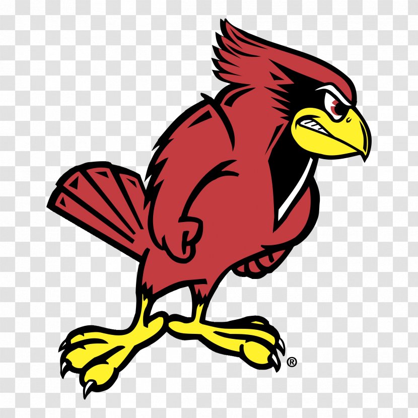 Illinois State University Redbirds Football Men's Basketball Western Of At Urbana–Champaign - Coopers Hawk Transparent PNG