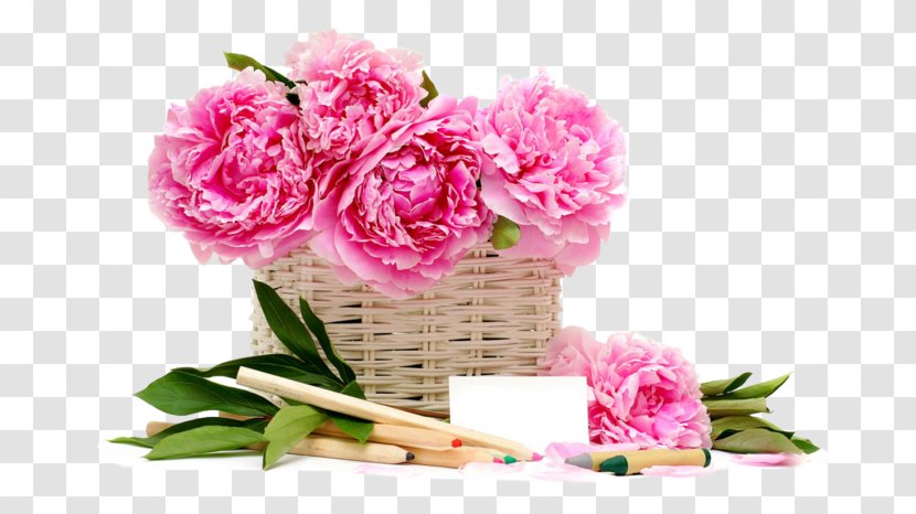 Pink Flowers Basket Rose Desktop Wallpaper - Floral Design - Flower Transparent PNG
