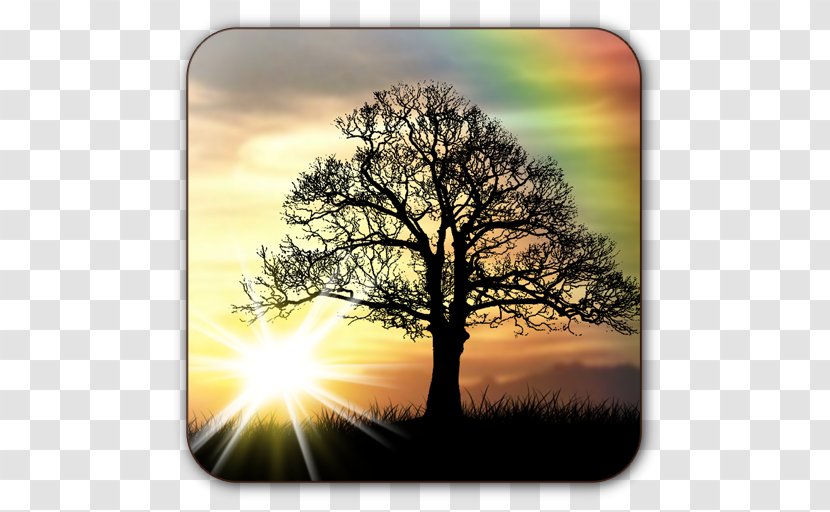 Sunrise Desktop Wallpaper Mobile Phones Android - 5 Plus Transparent PNG
