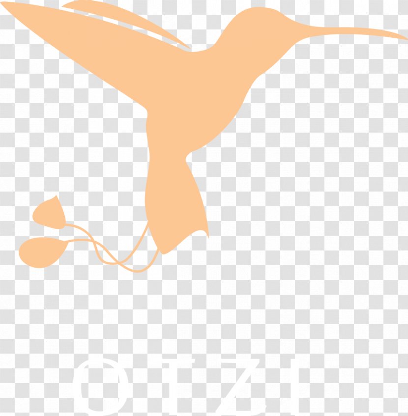 Beak Cygnini Goose Ducks Transparent PNG