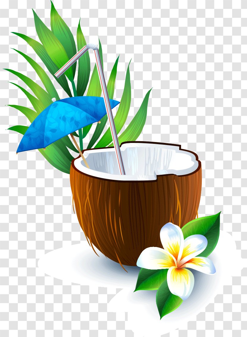 Vector Graphics Coconut Water Image Juice - Flowerpot - Drink Transparent PNG