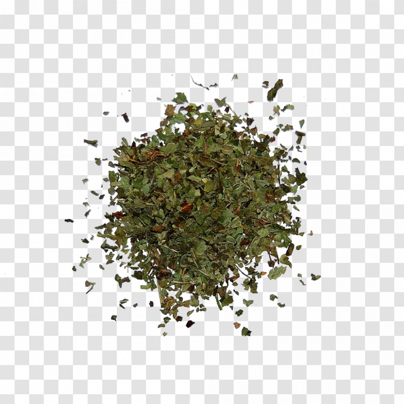 Seasoning - Herb - Spices Herbs Transparent PNG
