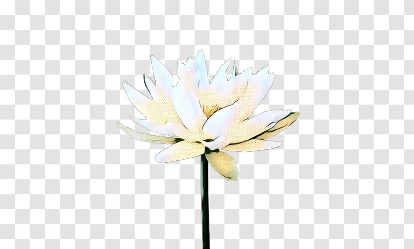 White Lily Flower - Magnolia Family - Beige Transparent PNG