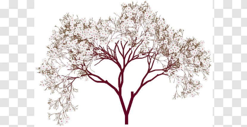 Almond Blossoms Tree Clip Art - Twig - Cliparts Transparent PNG