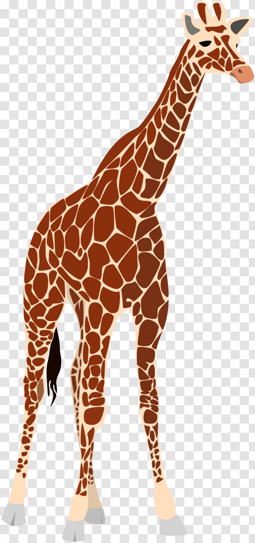 Giraffe Okapi Royalty-free Clip Art - Safari Transparent PNG