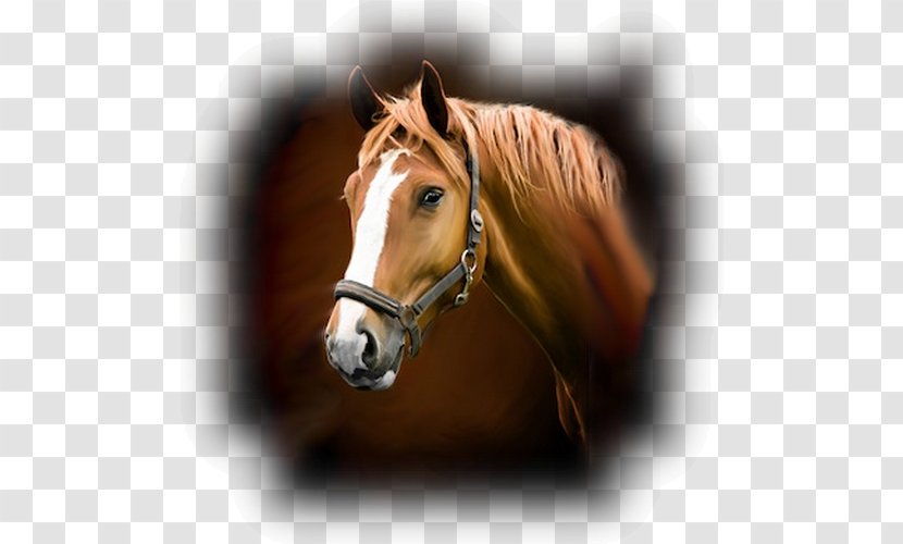 Horse Stable Wall Decal Sticker Barn Transparent PNG