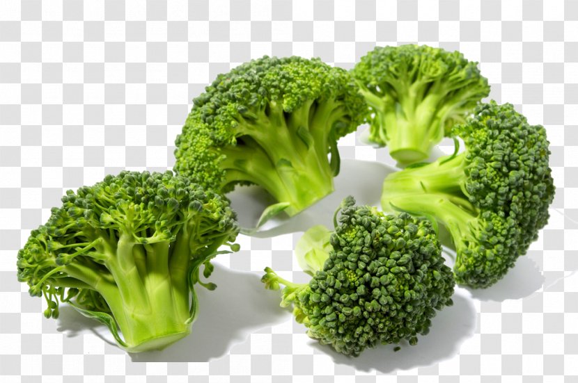Broccoli Cauliflower Brussels Sprout Kohlrabi Species - Seed Transparent PNG