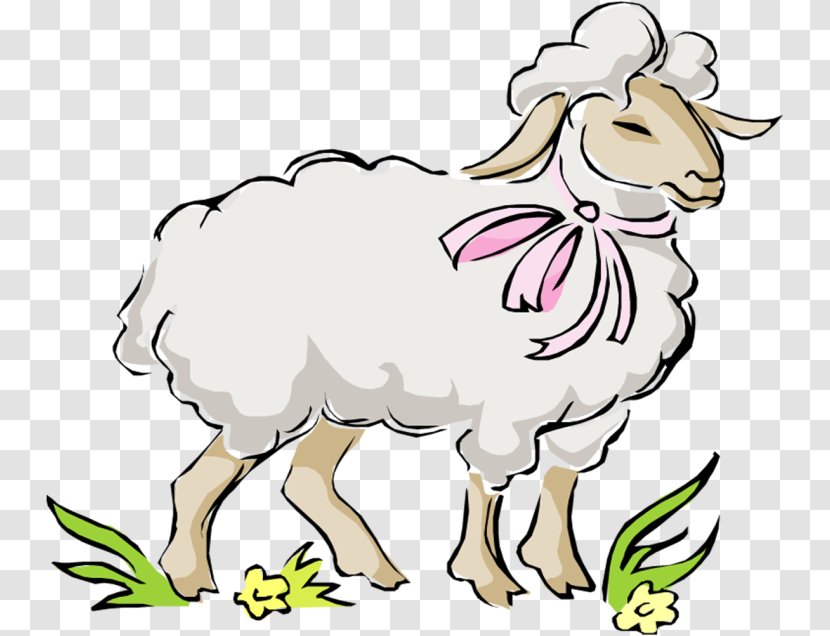 Sheep Goat Vector Graphics Clip Art Drawing - Cattle Like Mammal Transparent PNG