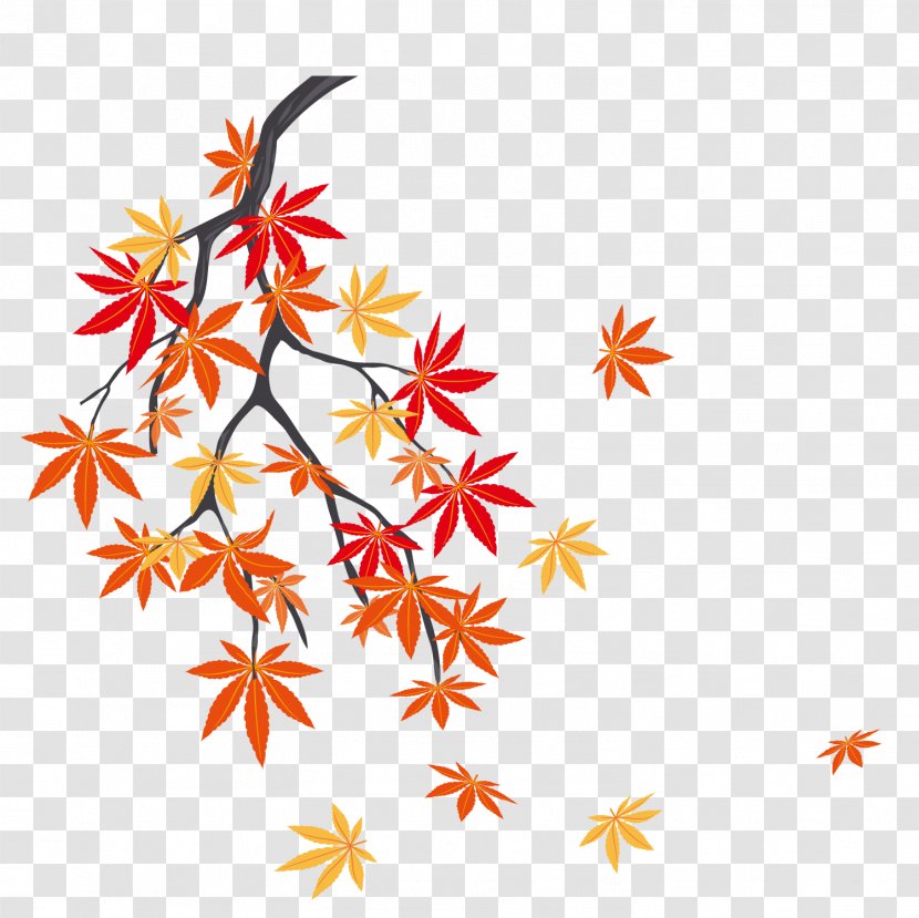 Autumn Leaf Color Maple - Tree - The Falling Leaves On A Transparent PNG