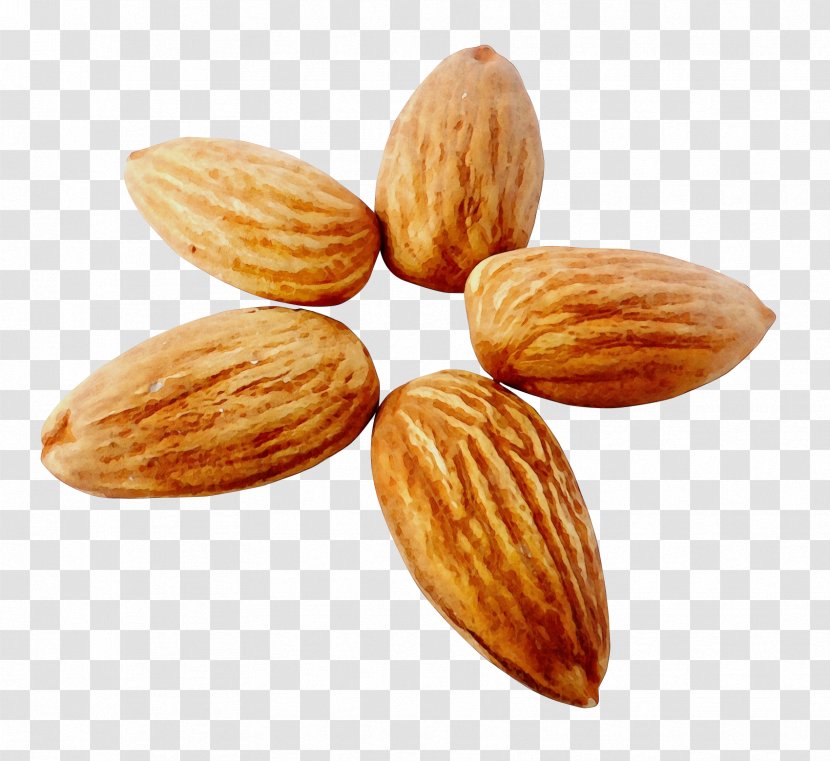 Almond Nut Nuts & Seeds Food Apricot Kernel - Seed Ingredient Transparent PNG