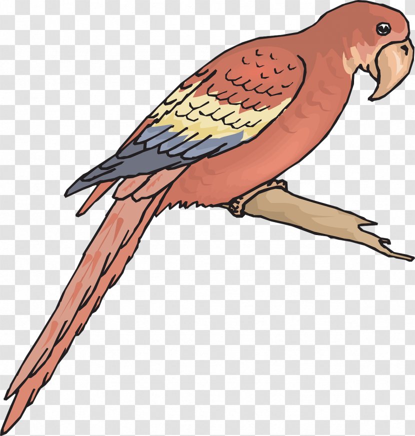 Companion Parrot Bird Macaw Clip Art - Rosyfaced Lovebird Transparent PNG