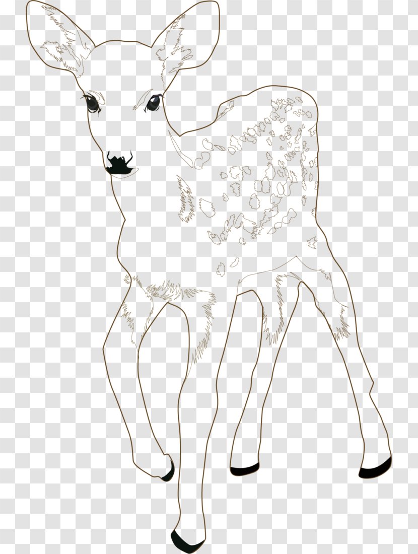 Reindeer /m/02csf Cattle Clip Art Drawing - Wildlife - Author Illustration Transparent PNG