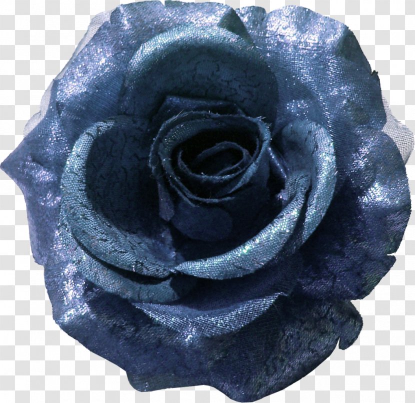 Blue Rose Garden Roses Flower Clip Art Transparent PNG
