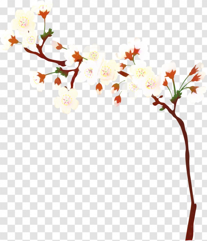 Cherry Blossom Tree - Prunus - Pedicel Plant Stem Transparent PNG