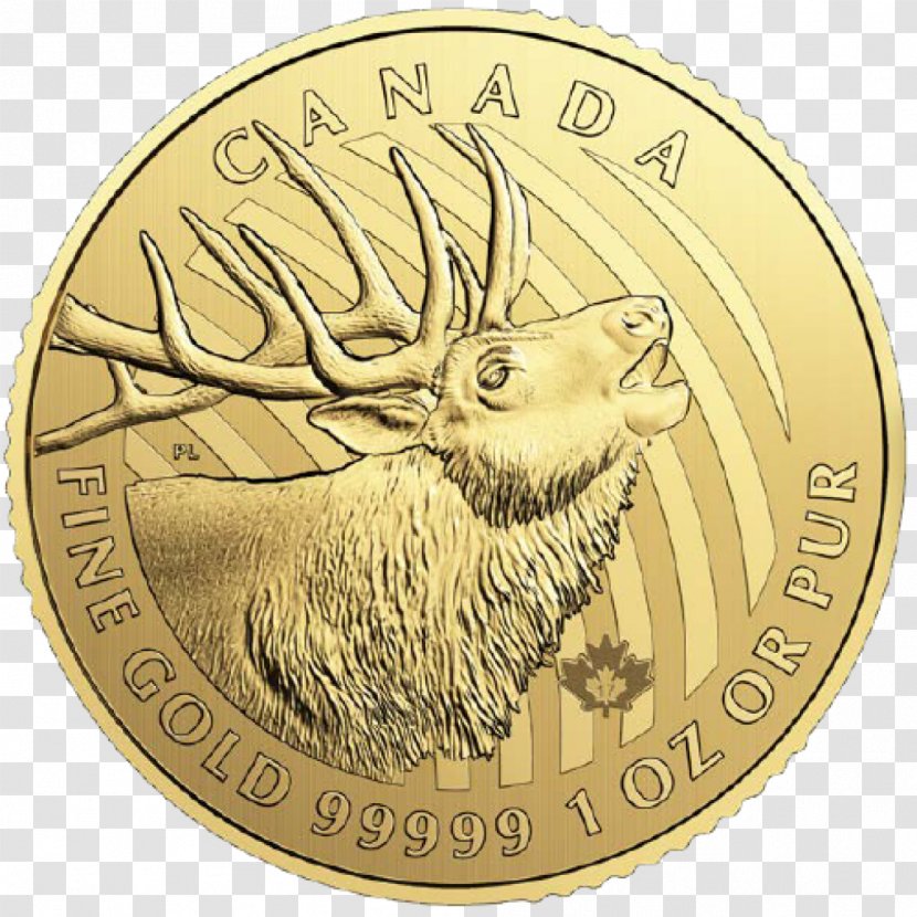 Elk Canada Canadian Gold Maple Leaf Bullion Coin Royal Mint - Golden Transparent PNG