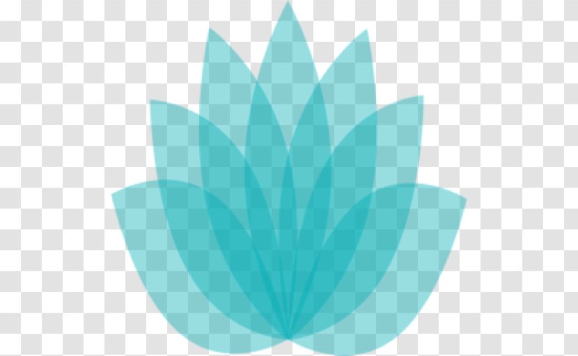 Egyptian Lotus Photography Drawing - Petal - Crop Transparent PNG