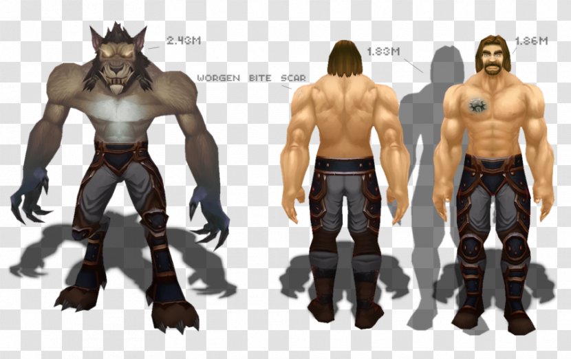 Reference Worgen Gilneas Character Art - Fictional - Metrics Model Transparent PNG