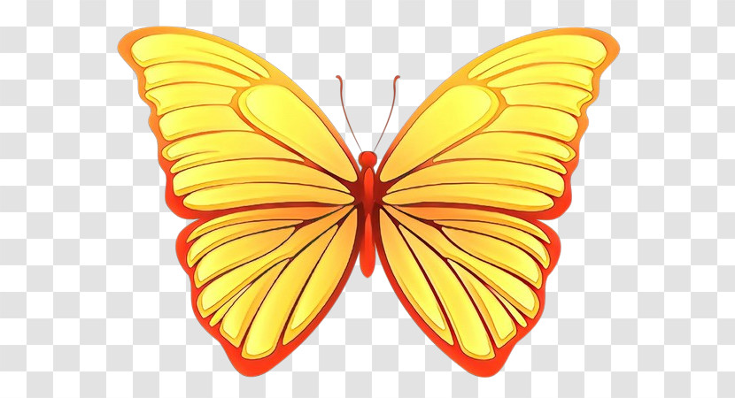 Moths And Butterflies Butterfly Insect Symmetry Pollinator Transparent PNG