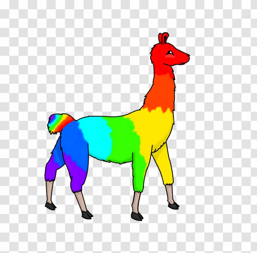 Llama Animal Drawing Desktop Wallpaper Clip Art - Opinion Transparent PNG