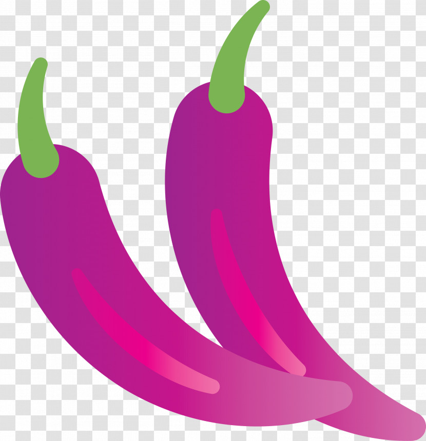 Chili Pepper Pink M Bell Pepper Meter Fruit Transparent PNG