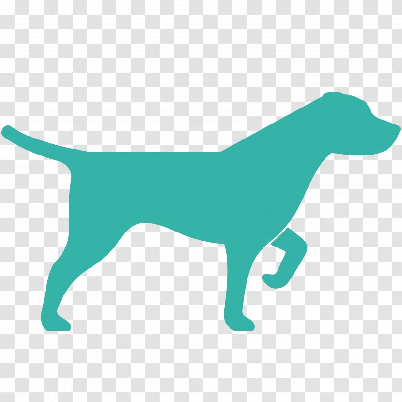 Pointer Hunting Dog - Carnivoran Transparent PNG