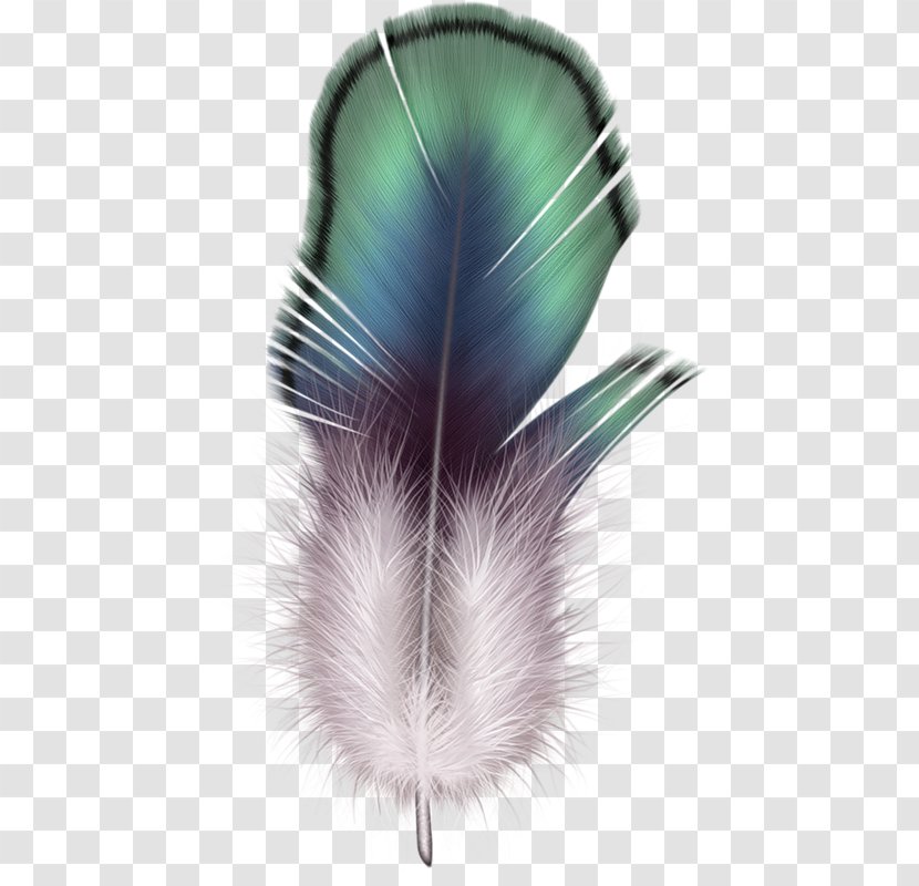 Feather Clip Art Image File Format - Tree Transparent PNG