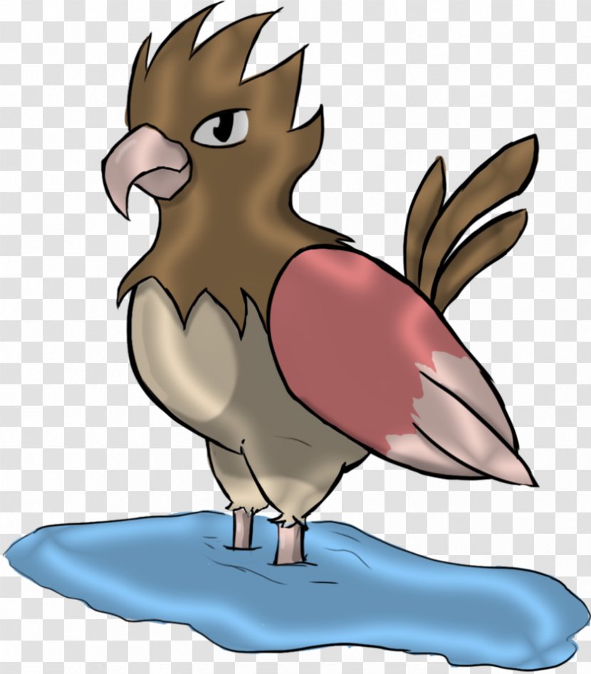 Rooster Beak Tail Clip Art - Wing - Spearow Transparent PNG