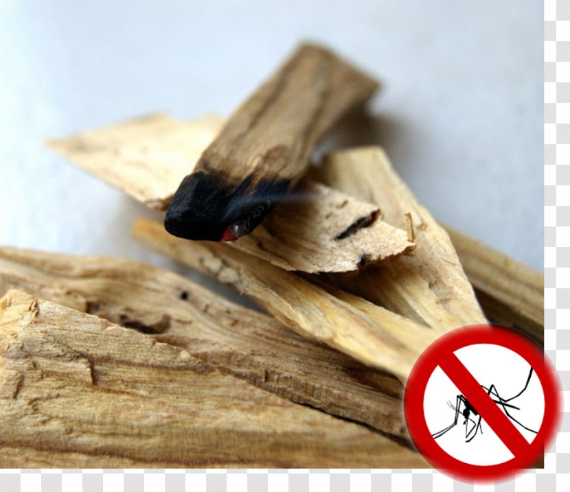 Palo Santo Ittar Musk Mallow Incense - Flavor - Burnt Trees Transparent PNG